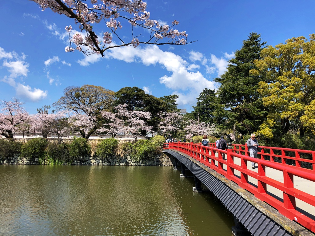 f:id:miwa3k:20190411145330j:plain f:id:miwa3k:20190411145330j:plain