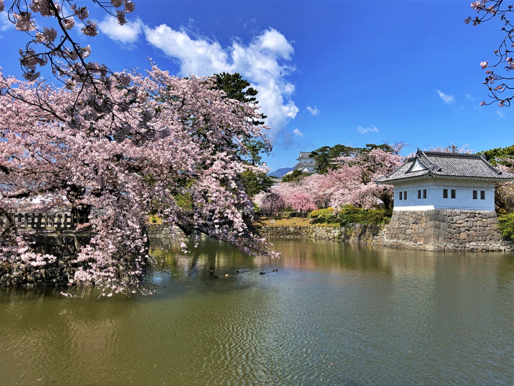 f:id:miwa3k:20190411145332j:plain f:id:miwa3k:20190411145332j:plain