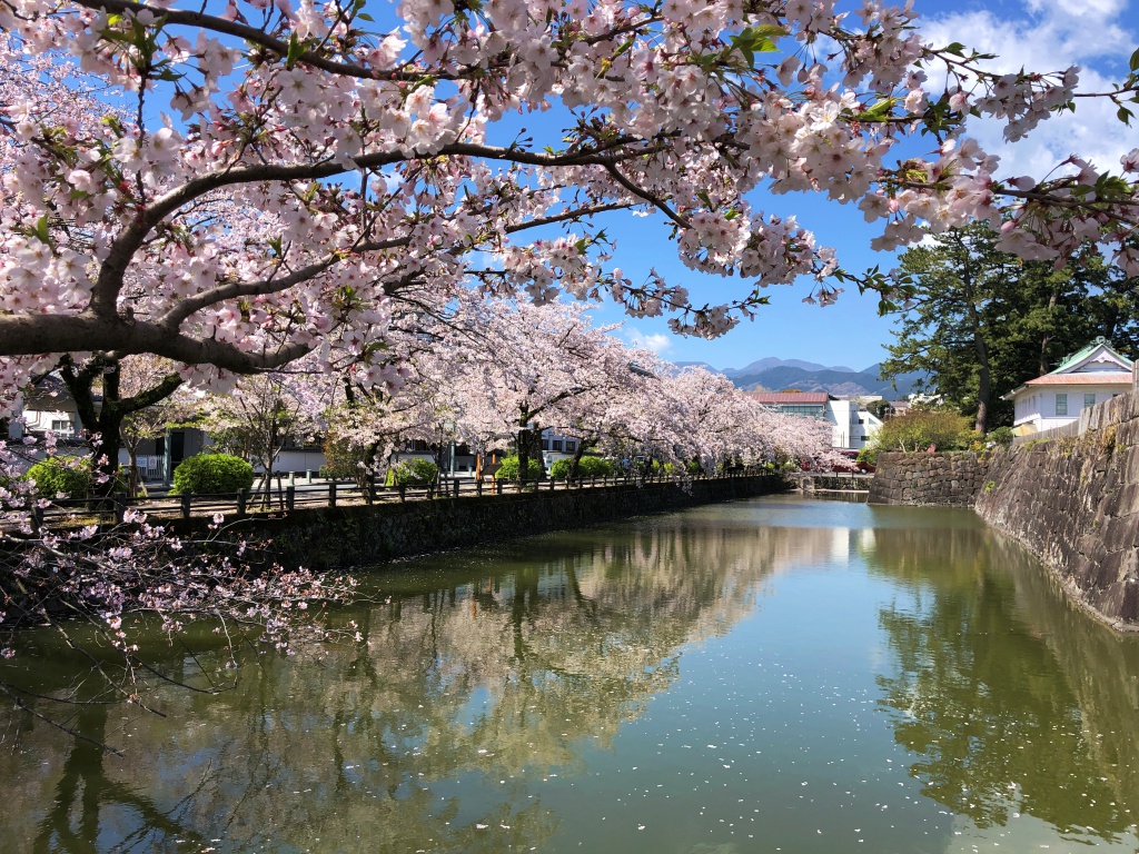 f:id:miwa3k:20190411145334j:plain f:id:miwa3k:20190411145334j:plain