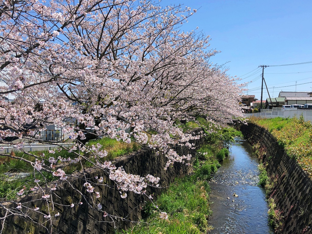 f:id:miwa3k:20190411145338j:plain f:id:miwa3k:20190411145338j:plain
