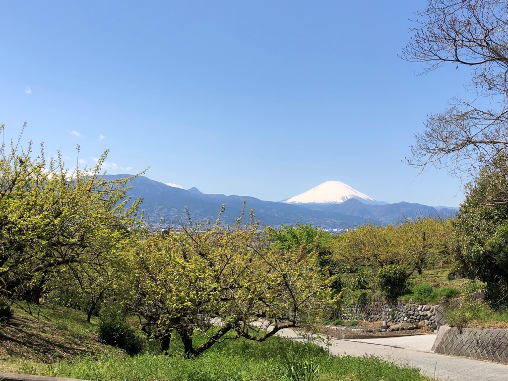 f:id:miwa3k:20190411145340j:plain f:id:miwa3k:20190411145340j:plain