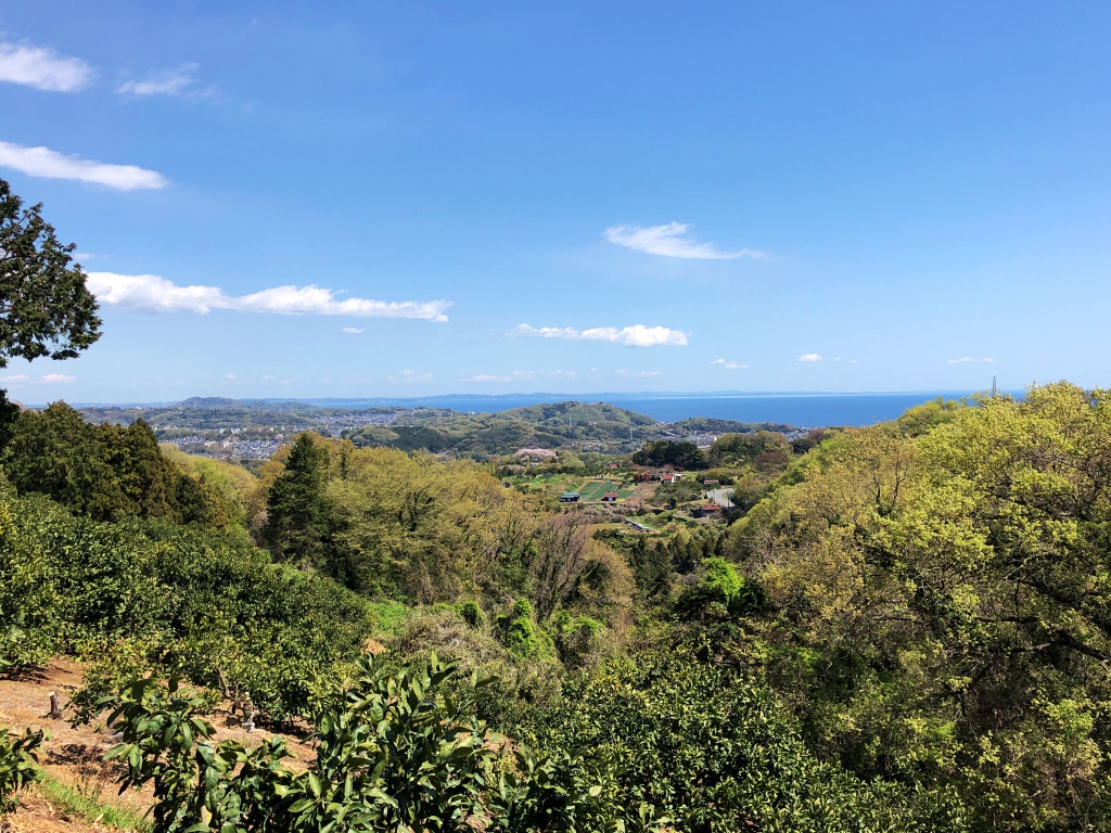 f:id:miwa3k:20190411145341j:plain f:id:miwa3k:20190411145341j:plain