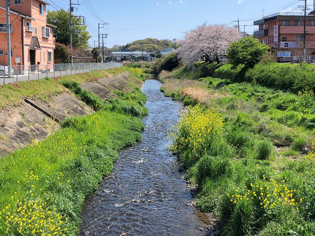f:id:miwa3k:20190411145342j:plain f:id:miwa3k:20190411145342j:plain