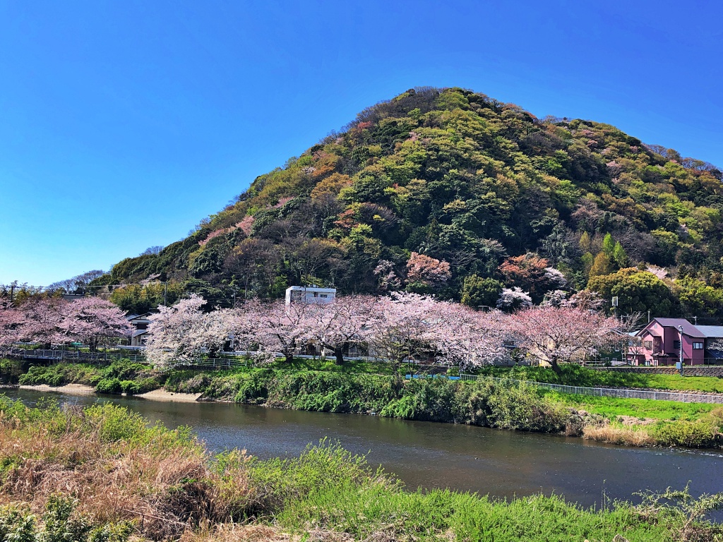 f:id:miwa3k:20190411145345j:plain f:id:miwa3k:20190411145345j:plain