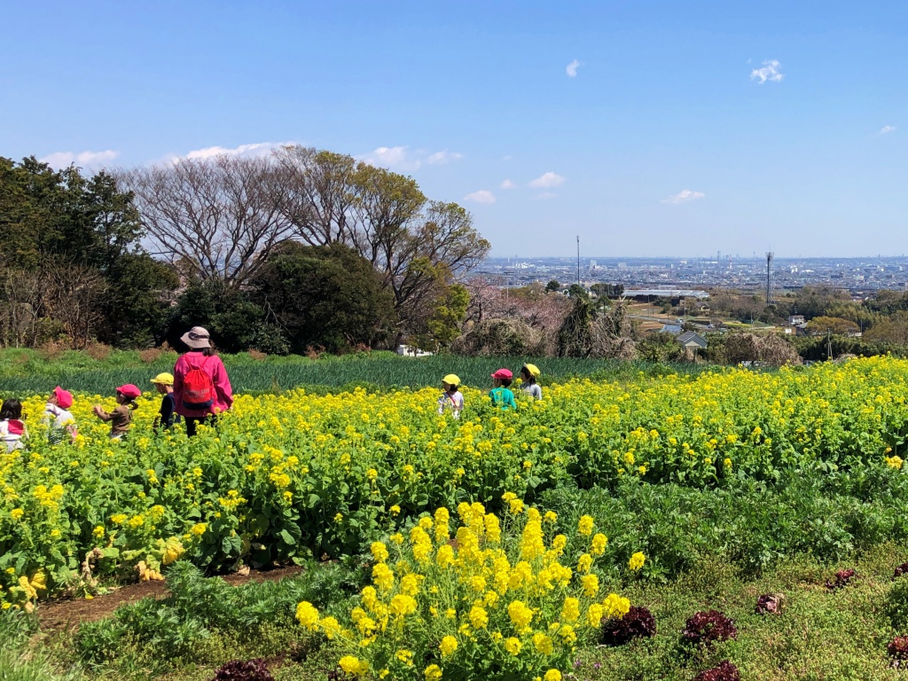 f:id:miwa3k:20190411145348j:plain f:id:miwa3k:20190411145348j:plain