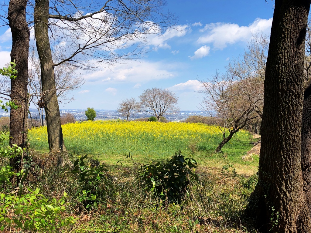 f:id:miwa3k:20190411145350j:plain f:id:miwa3k:20190411145350j:plain