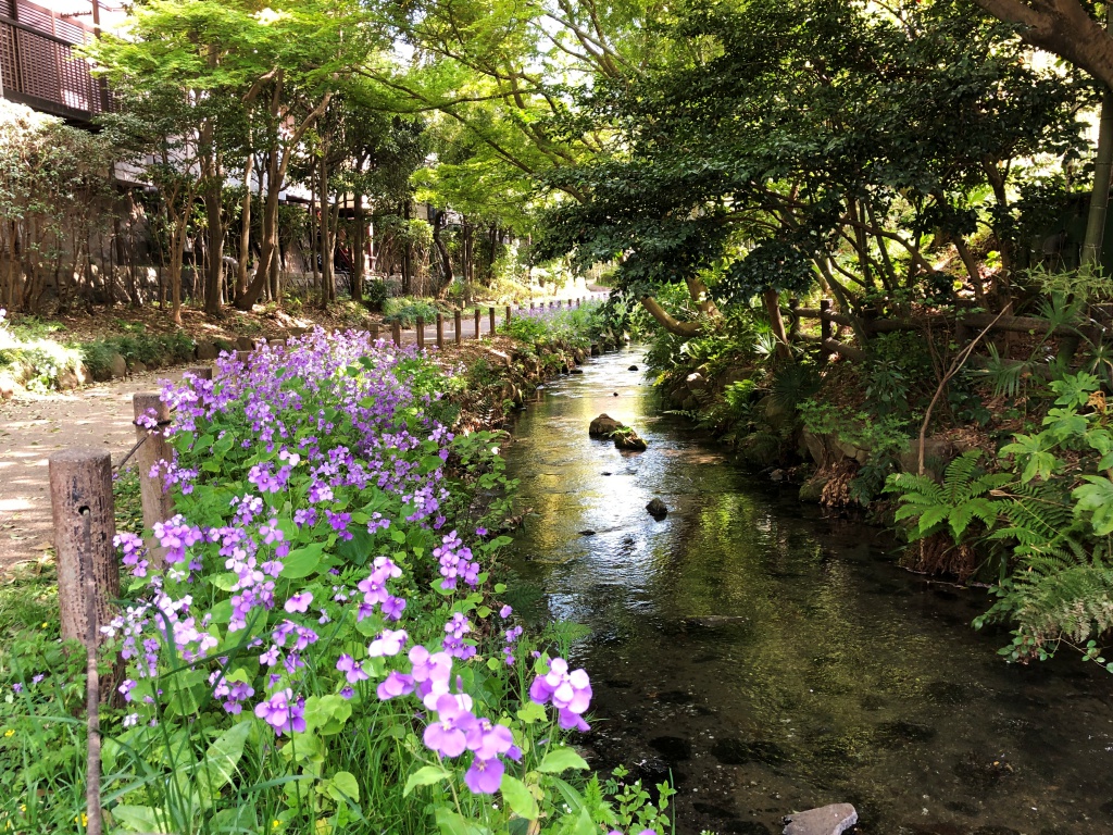 f:id:miwa3k:20190426130214j:plain