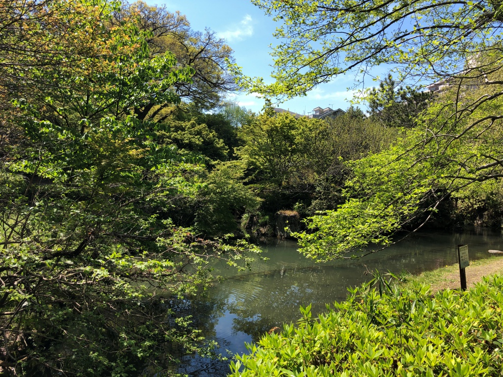 f:id:miwa3k:20190426130215j:plain