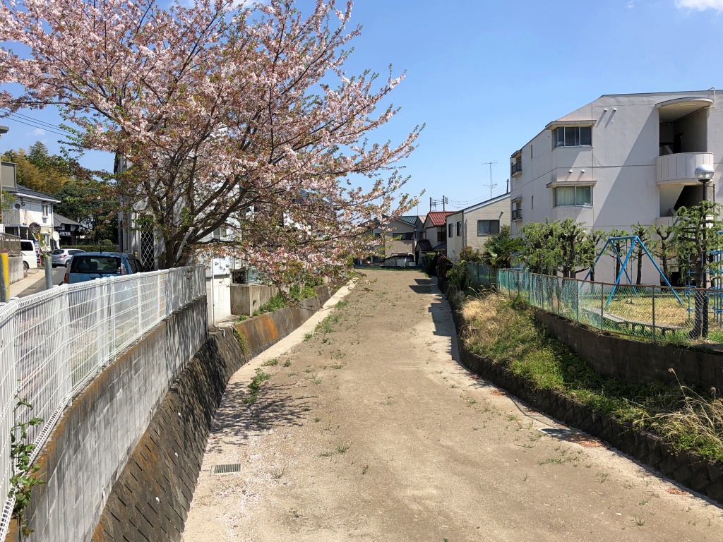 f:id:miwa3k:20190426130226j:plain