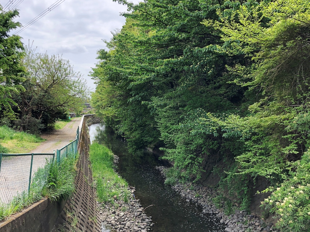 f:id:miwa3k:20190511172708j:plain f:id:miwa3k:20190511172708j:plain