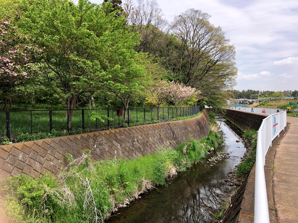 f:id:miwa3k:20190511172711j:plain f:id:miwa3k:20190511172711j:plain