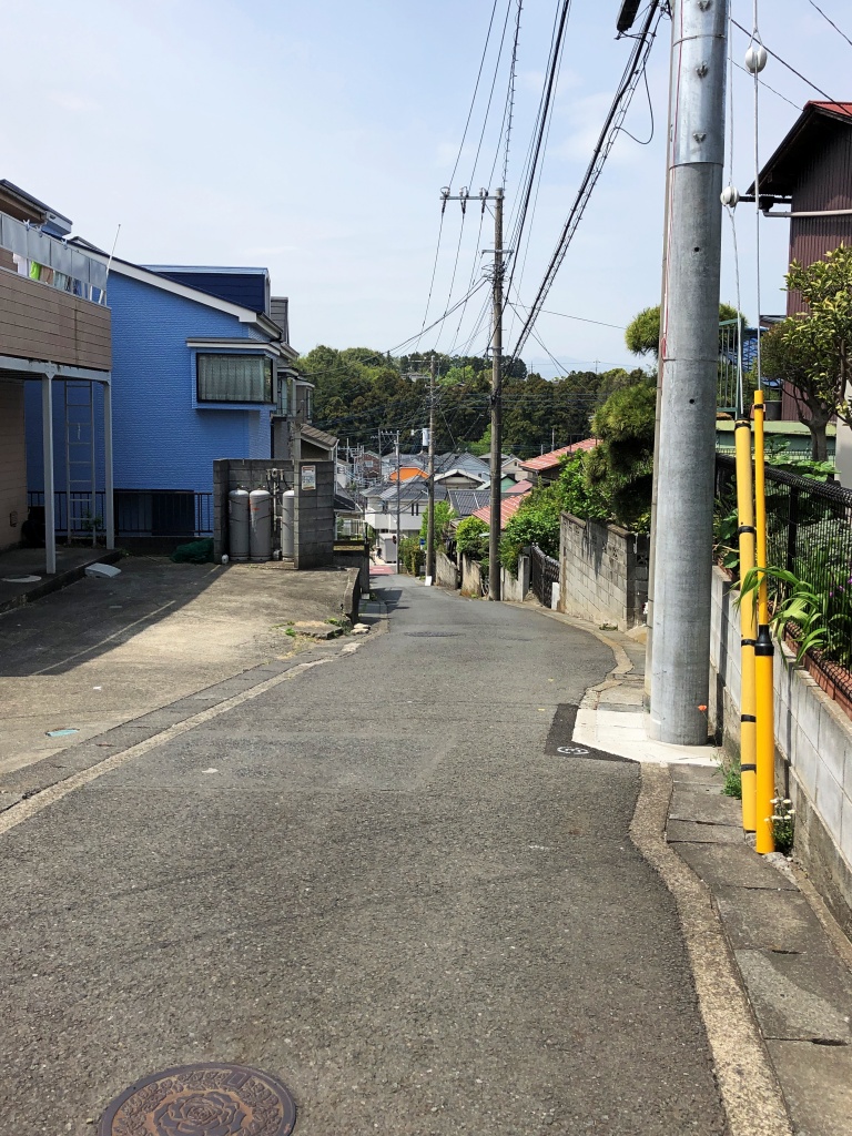 f:id:miwa3k:20190511172724j:plain f:id:miwa3k:20190511172724j:plain