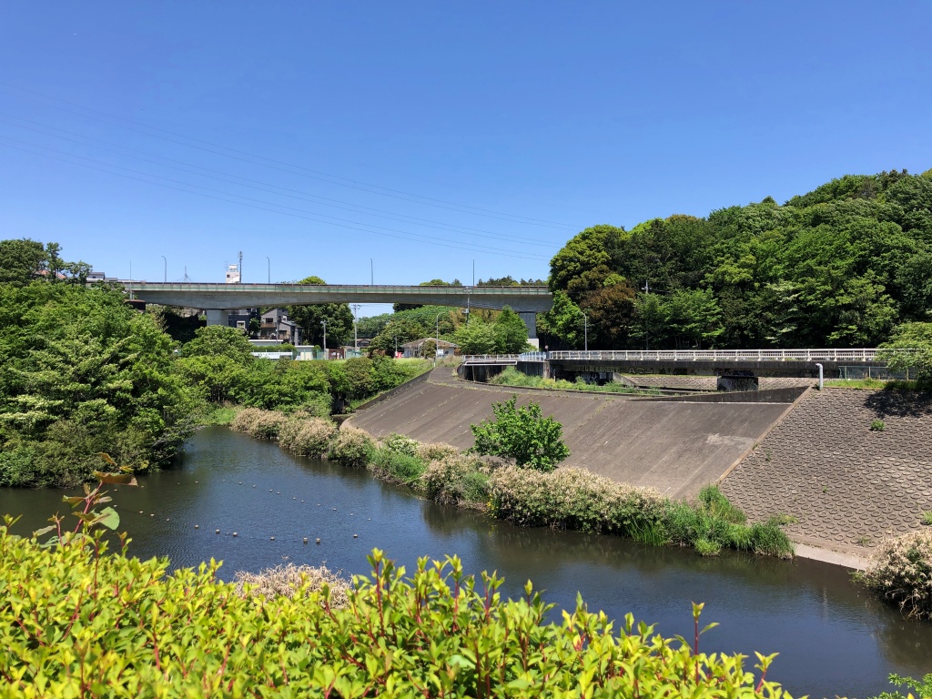 f:id:miwa3k:20190513214001j:plain