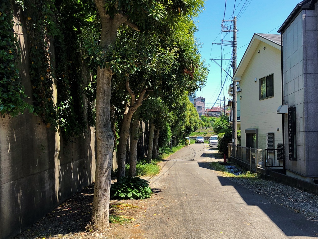 f:id:miwa3k:20190513214011j:plain