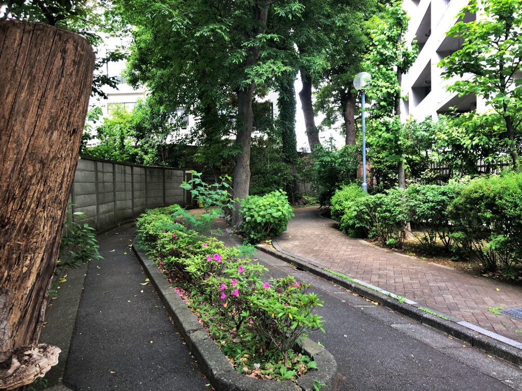 f:id:miwa3k:20190522200555j:plain f:id:miwa3k:20190522200555j:plain