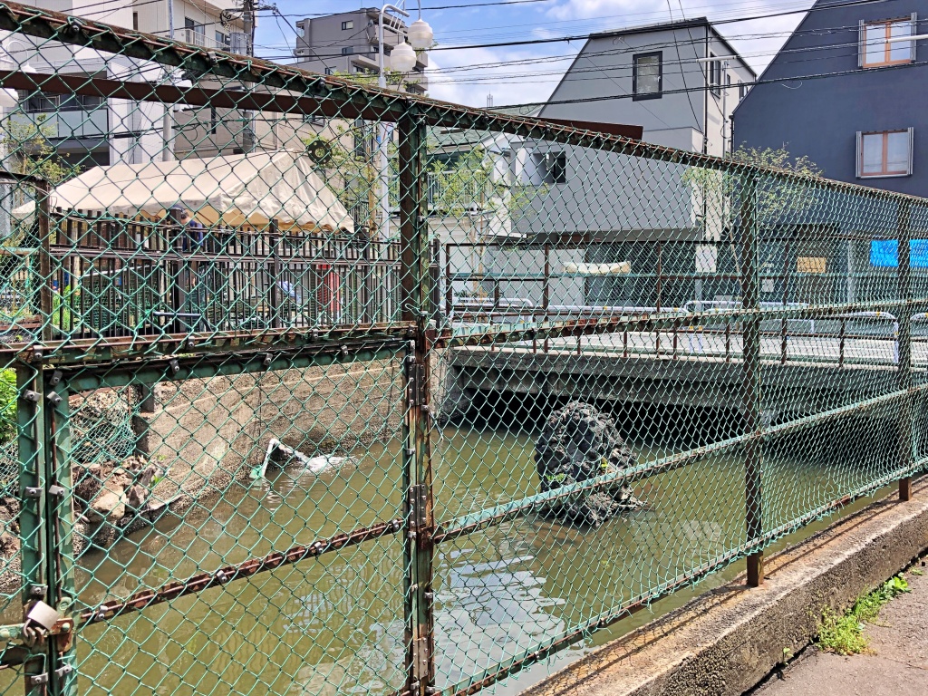 f:id:miwa3k:20190522200604j:plain f:id:miwa3k:20190522200604j:plain