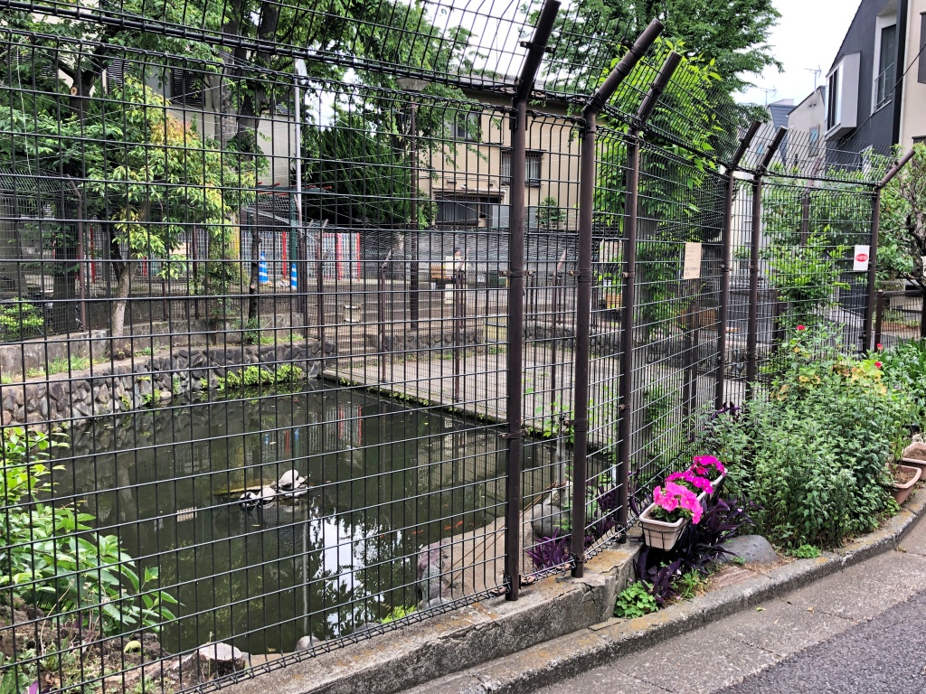 f:id:miwa3k:20190522200613j:plain f:id:miwa3k:20190522200613j:plain