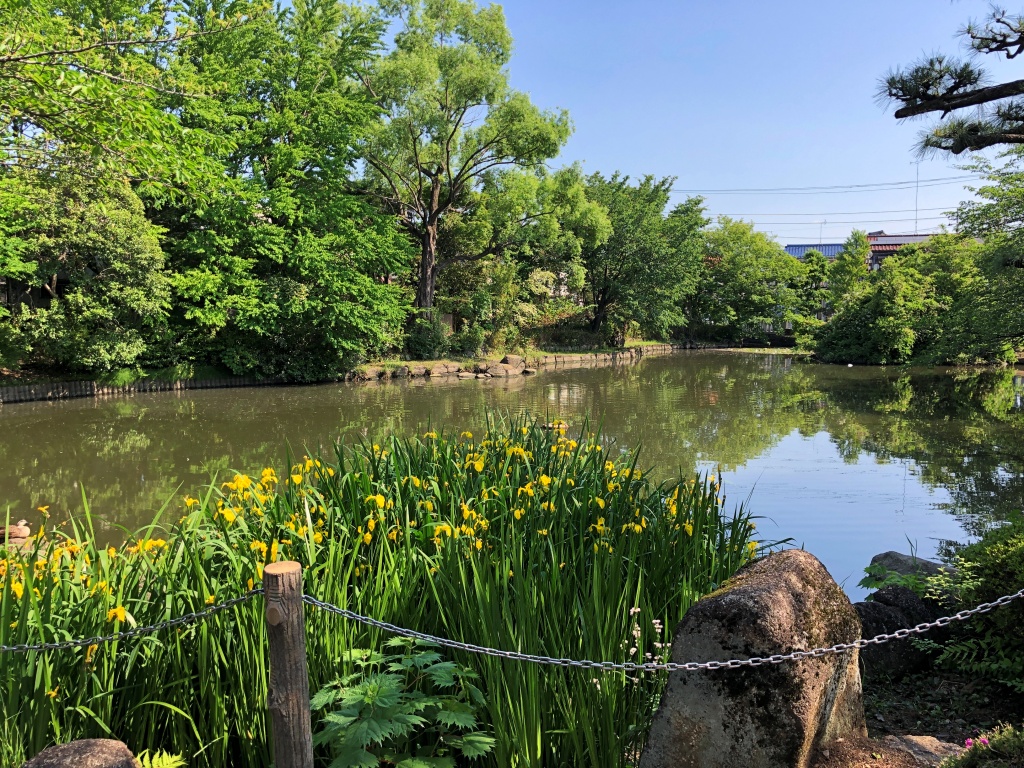 f:id:miwa3k:20190531180610j:plain