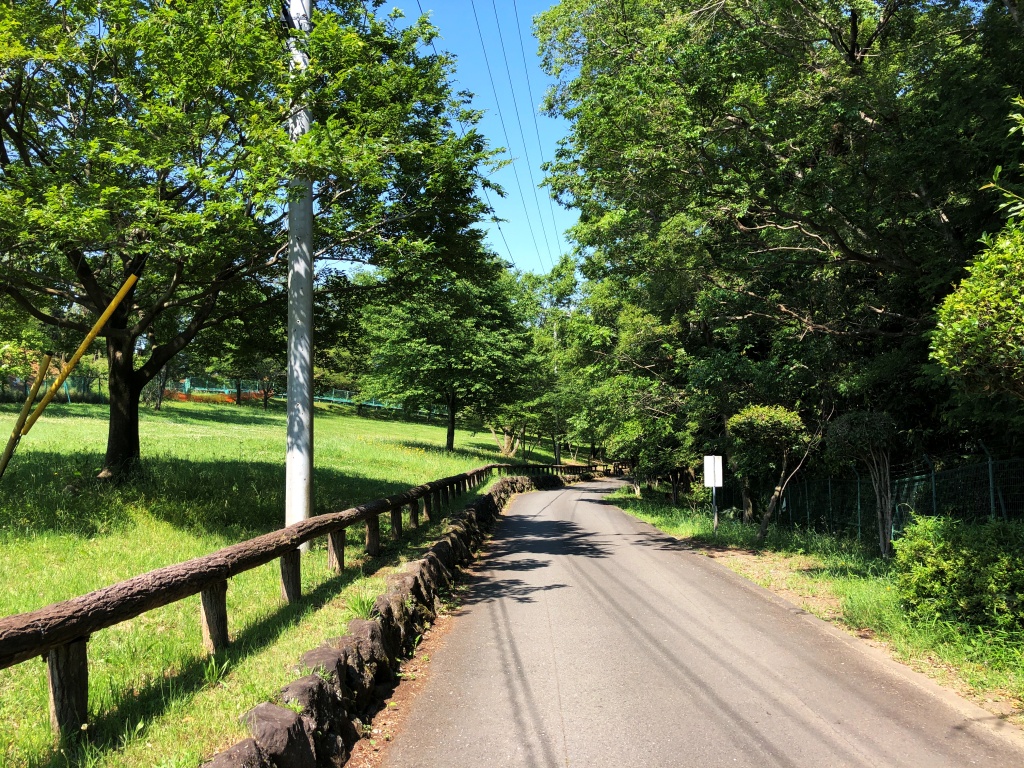 f:id:miwa3k:20190531180615j:plain