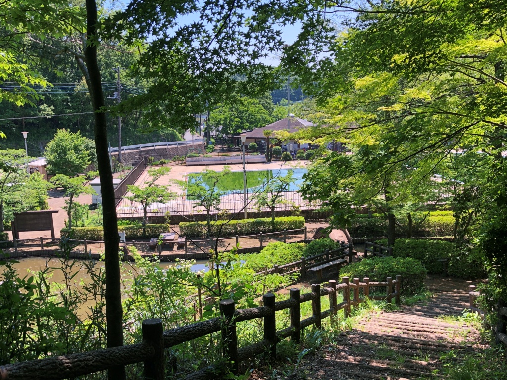 f:id:miwa3k:20190531180619j:plain