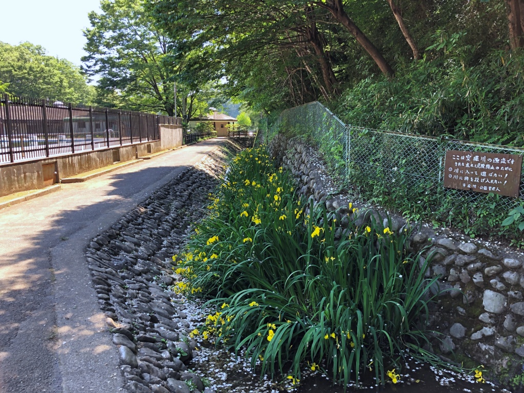 f:id:miwa3k:20190531180620j:plain