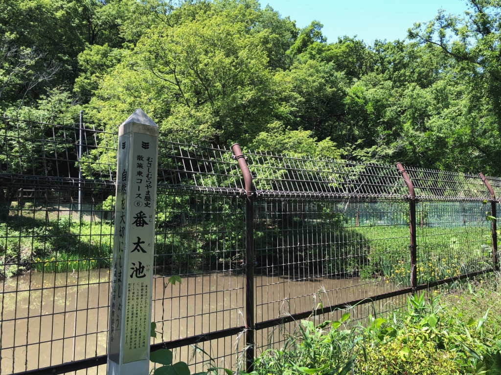f:id:miwa3k:20190531180622j:plain