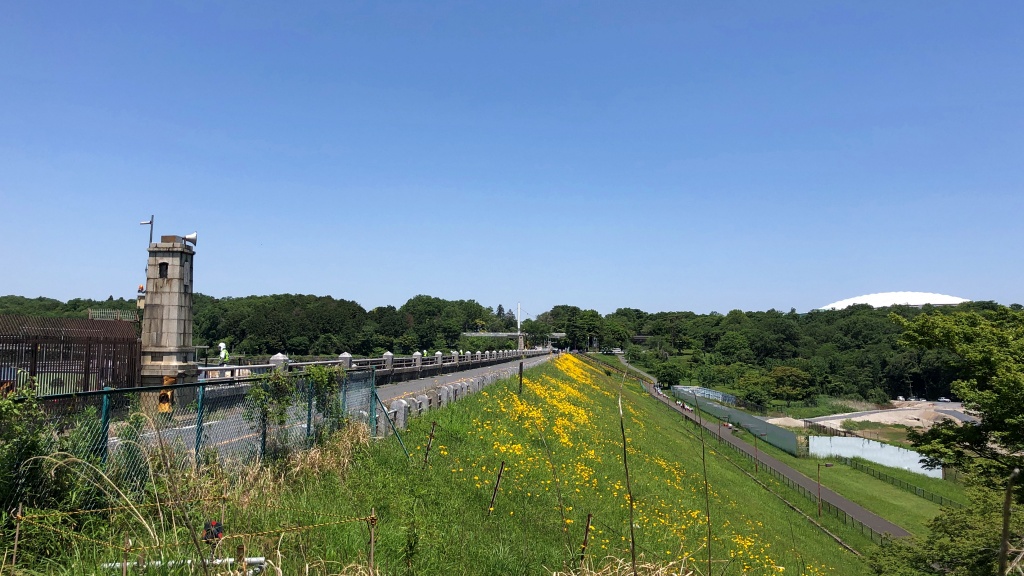 f:id:miwa3k:20190531180625j:plain
