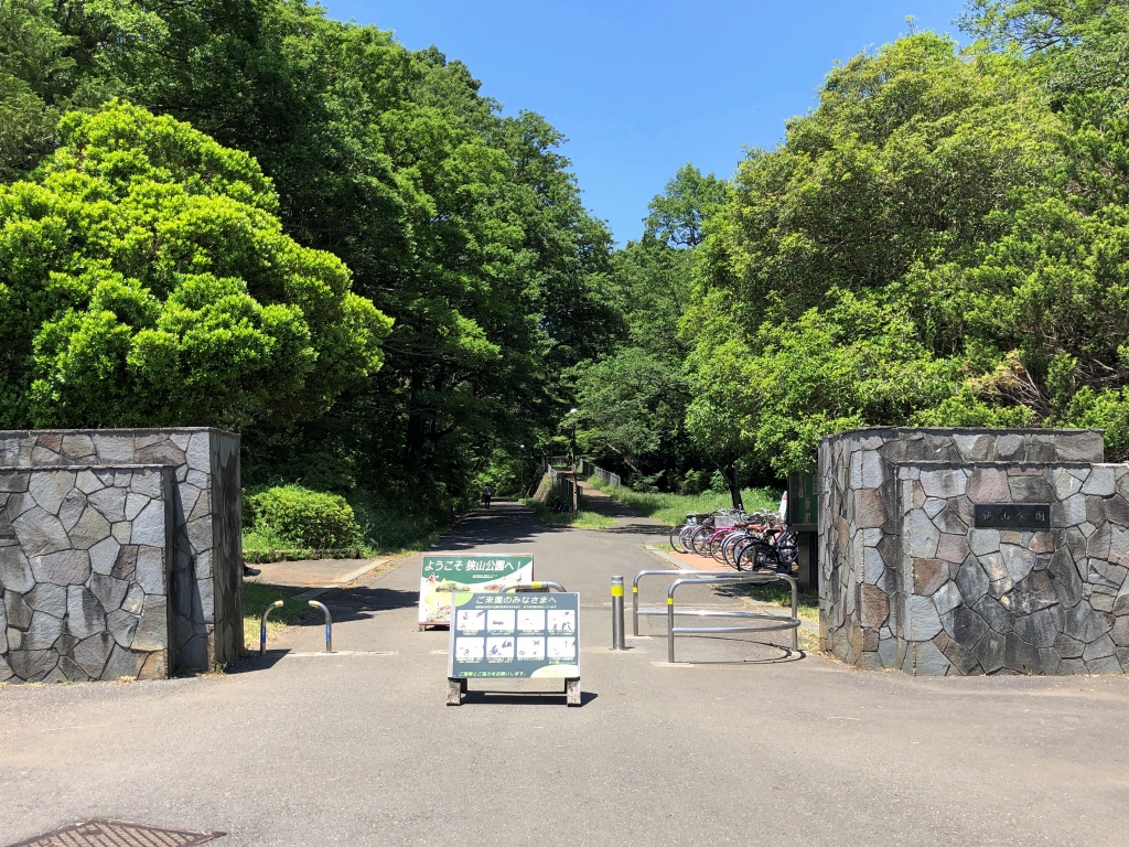 f:id:miwa3k:20190531180629j:plain