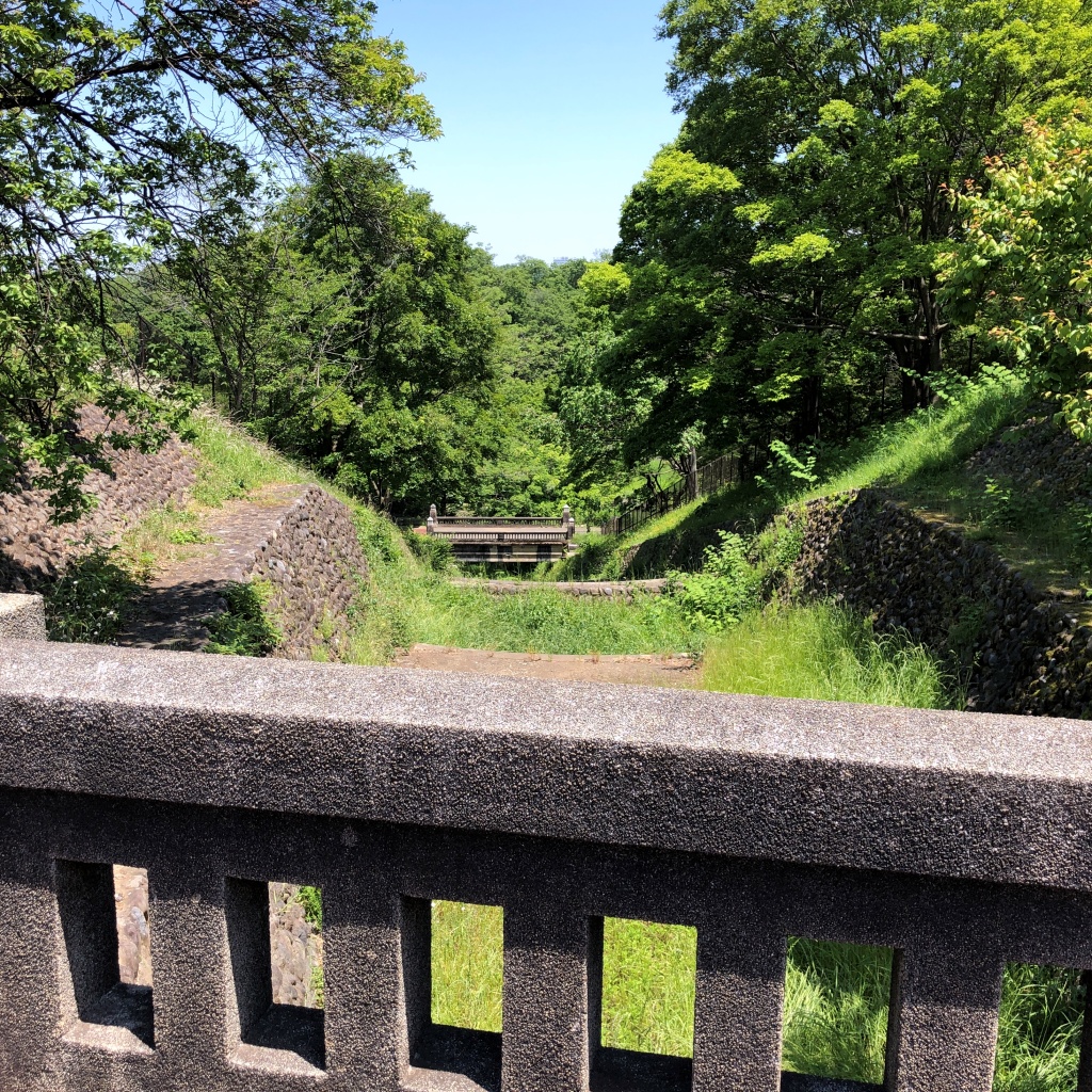f:id:miwa3k:20190531180632j:plain