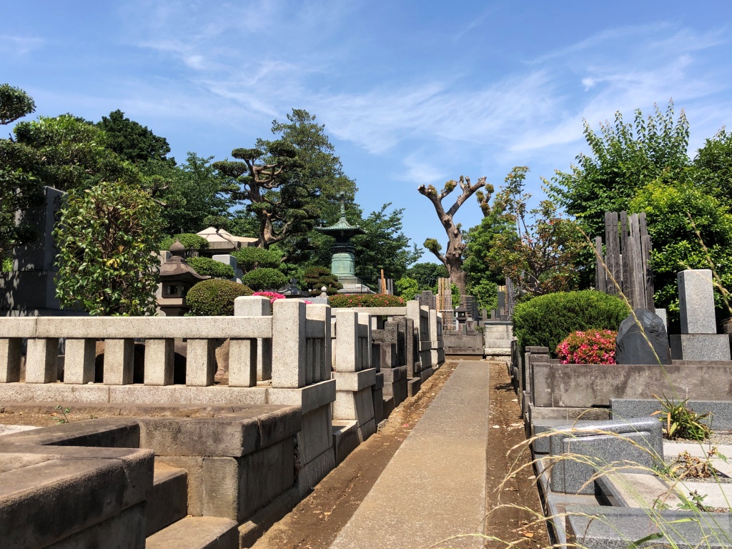 f:id:miwa3k:20190608142021j:plain