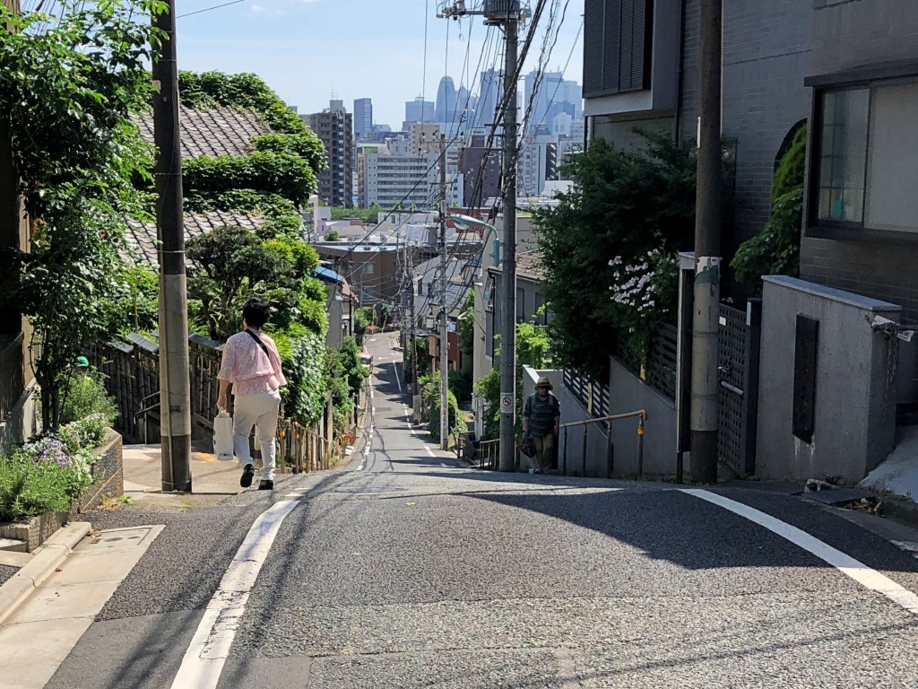 f:id:miwa3k:20190608142025j:plain
