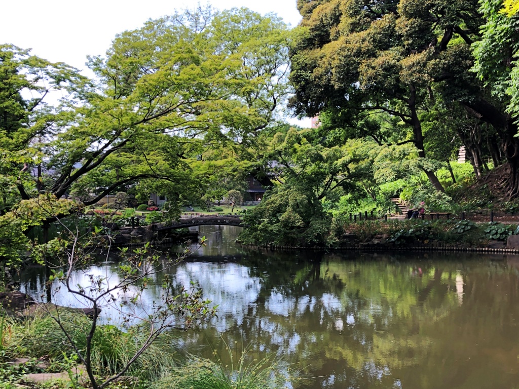 f:id:miwa3k:20190608142027j:plain