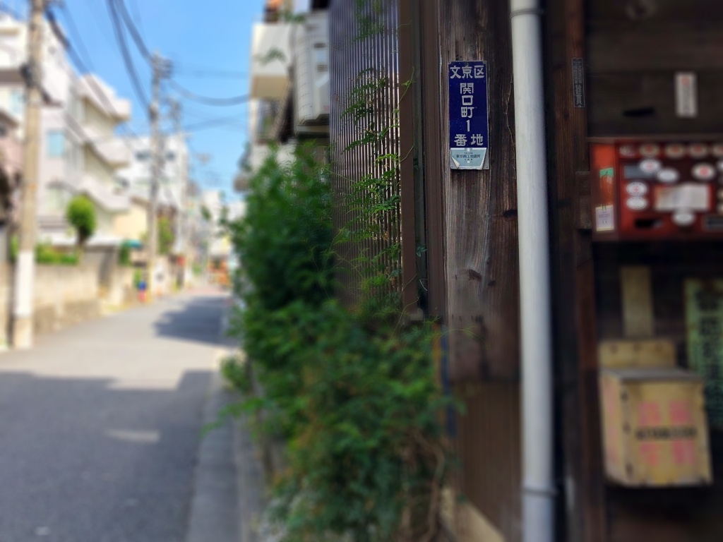 f:id:miwa3k:20190608142029j:plain