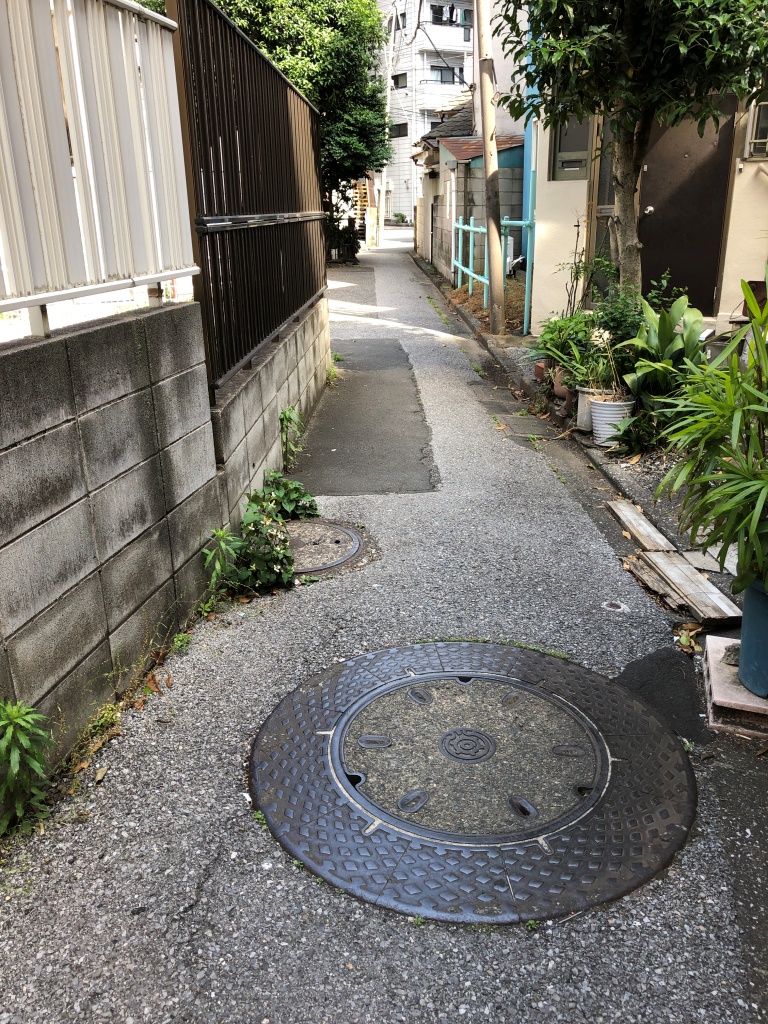f:id:miwa3k:20190608142031j:plain