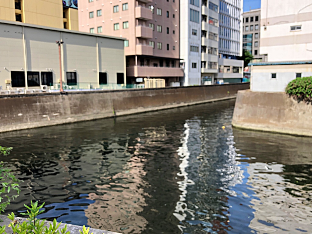 f:id:miwa3k:20190608142037j:plain