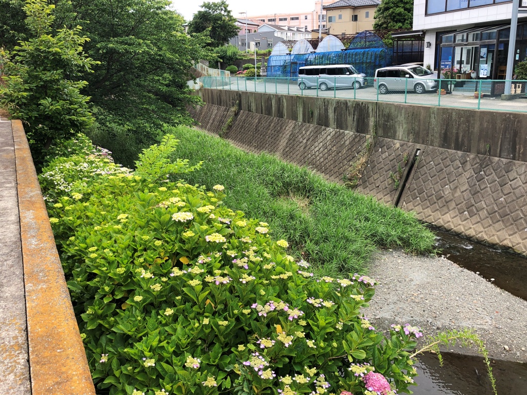 f:id:miwa3k:20190611183612j:plain