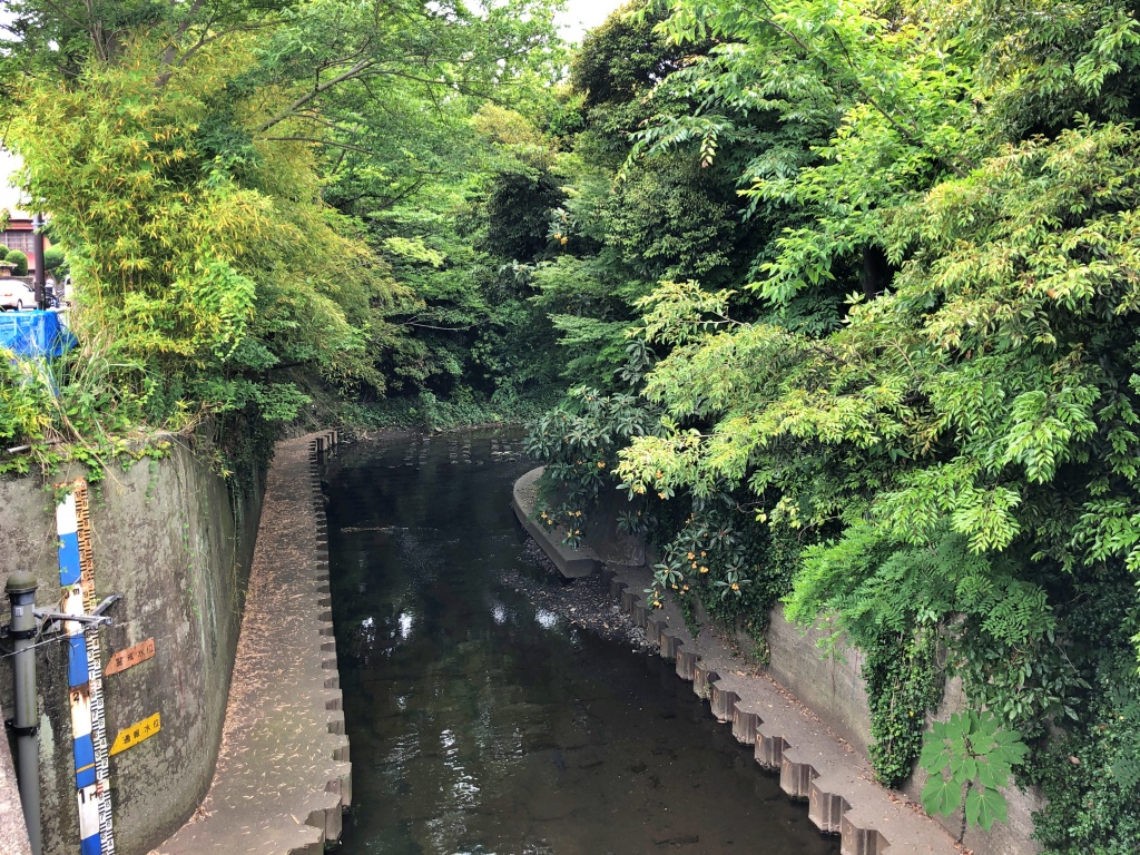 f:id:miwa3k:20190611183613j:plain