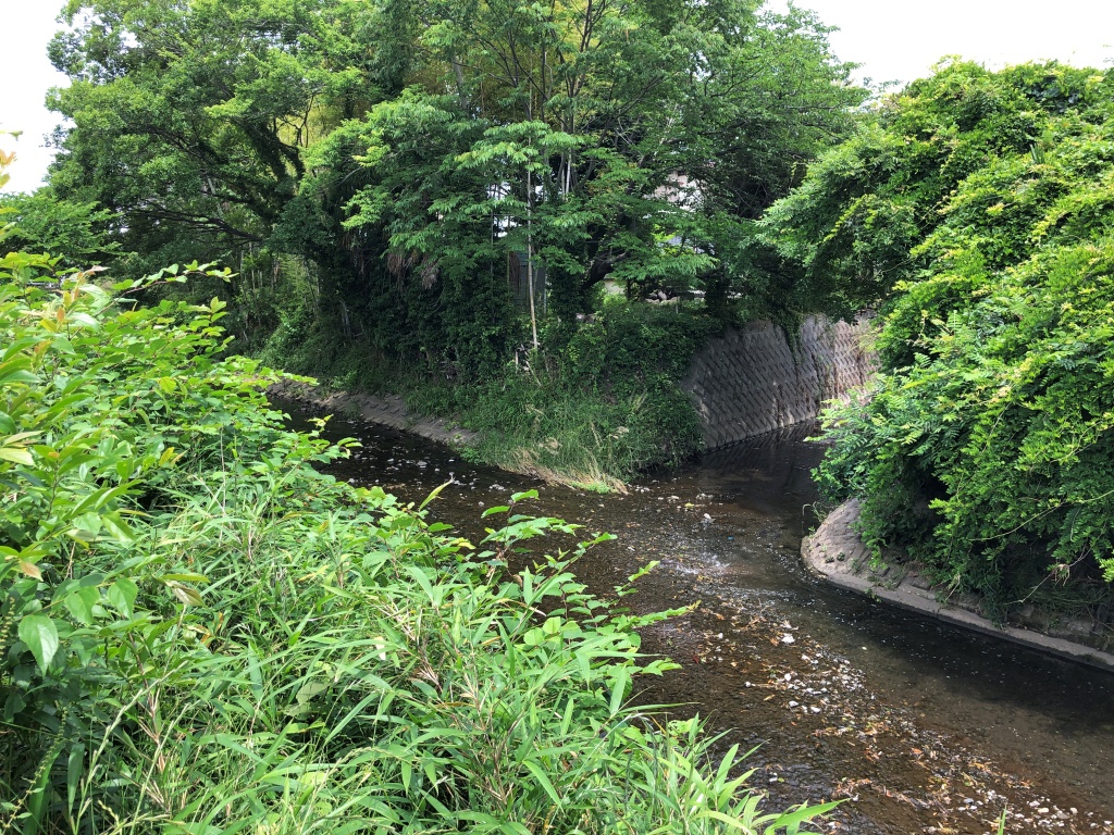 f:id:miwa3k:20190611183616j:plain
