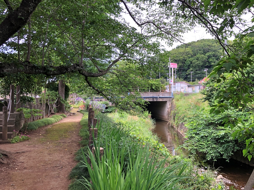 f:id:miwa3k:20190611183619j:plain