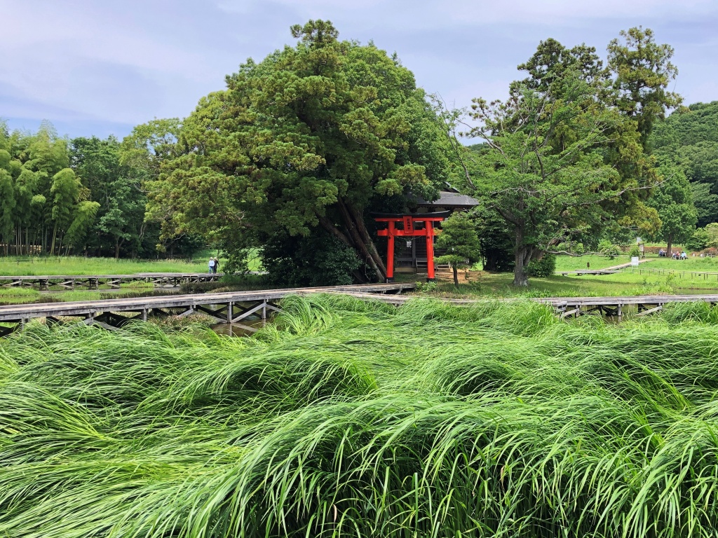 f:id:miwa3k:20190611183628j:plain