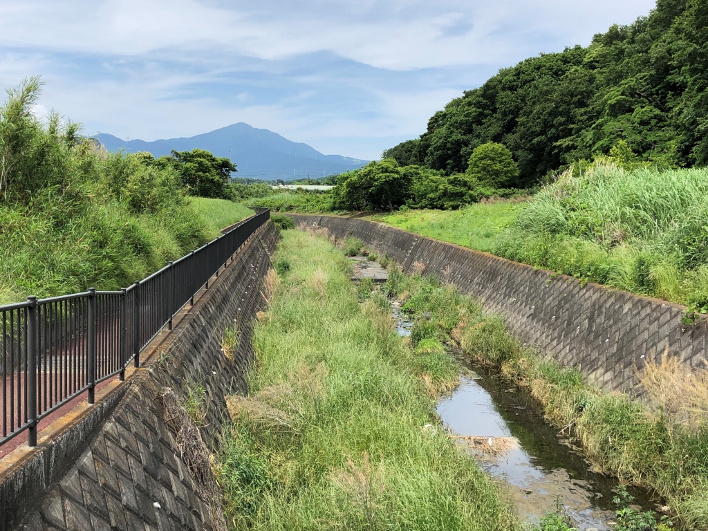 f:id:miwa3k:20190611183629j:plain