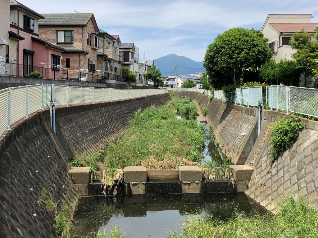 f:id:miwa3k:20190611183630j:plain