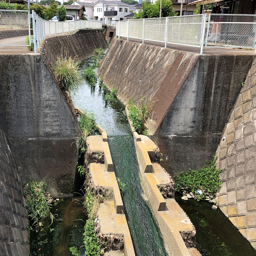 f:id:miwa3k:20190611183631j:plain