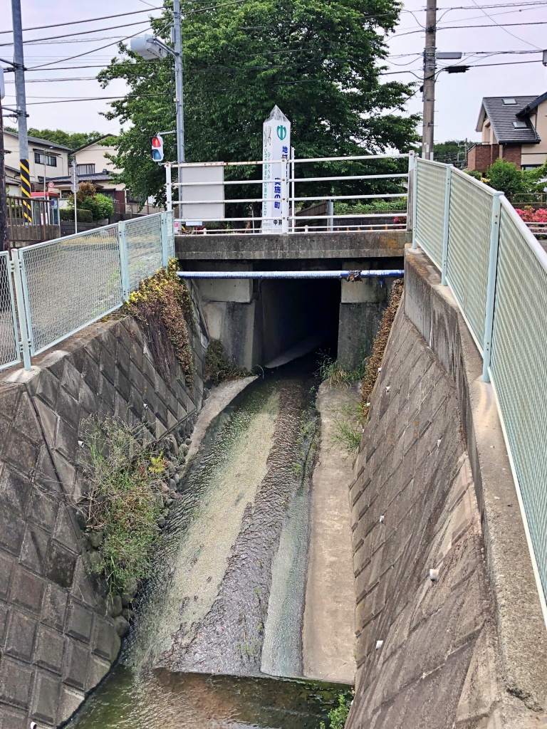 f:id:miwa3k:20190611183633j:plain