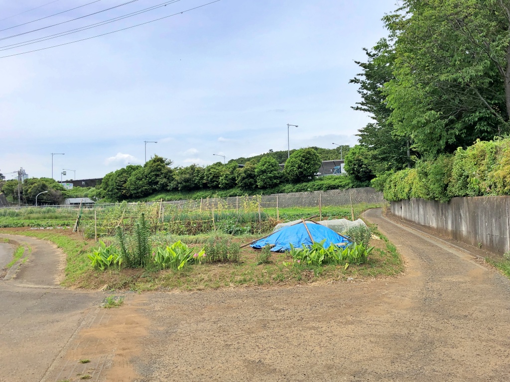 f:id:miwa3k:20190611183636j:plain