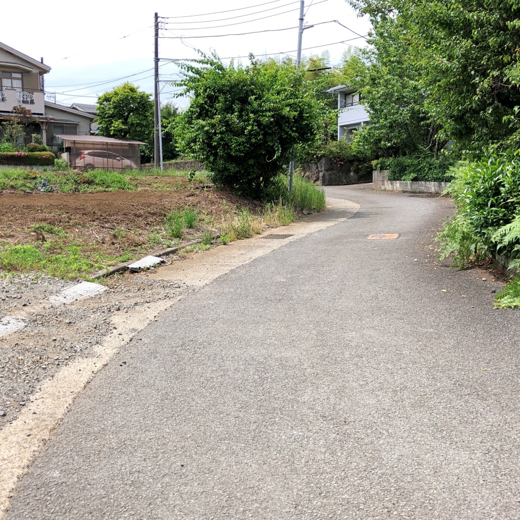 f:id:miwa3k:20190611183638j:plain