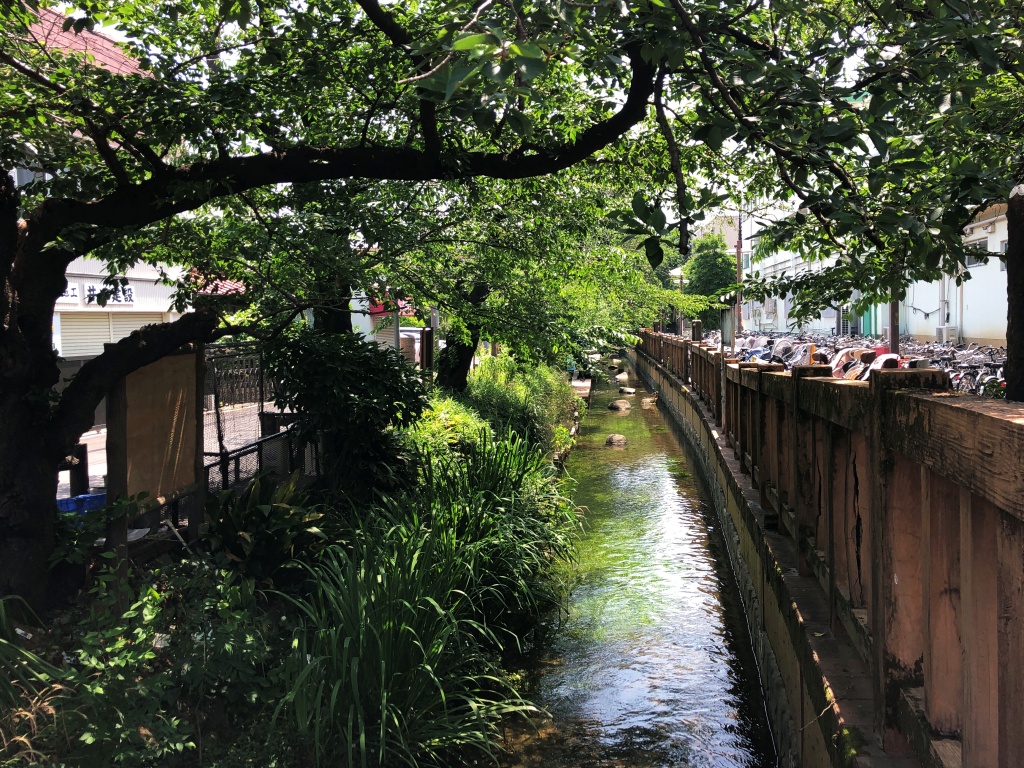 f:id:miwa3k:20190614143928j:plain