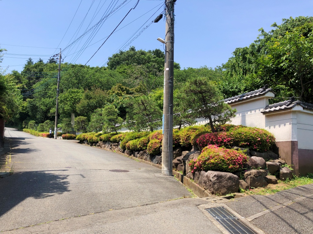 f:id:miwa3k:20190614143929j:plain