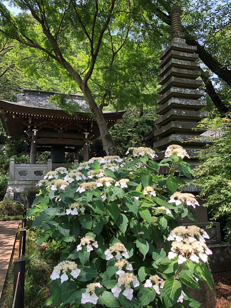 f:id:miwa3k:20190614143932j:plain