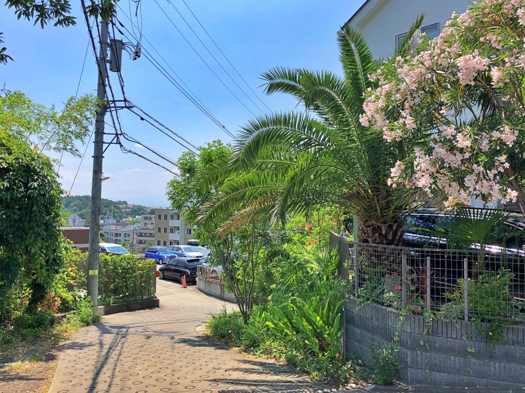 f:id:miwa3k:20190614143948j:plain